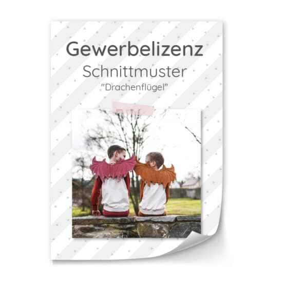 Gewerbelizenz - Drachenflügel