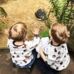 Sweater Paule - Gewerbelizenz [Digital]