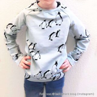 Sweater Paule 2.0