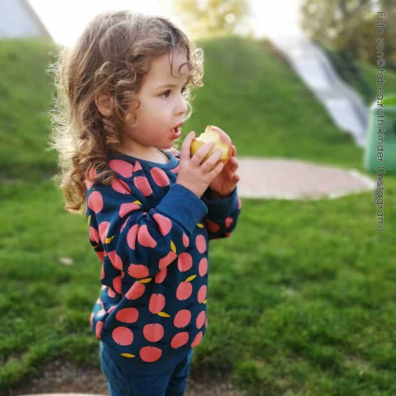 Sweater Paule Anleitung & Schnittmuster DIY Stoffe