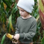 Sweater Paule & Knickerbocker Kurt