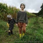 Sweater Paule & Knickerbocker Kurt