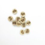 Kokosnussknopf hell - 13 mm - 2 Loch - Leaf