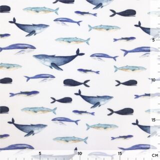 Single Jersey - Little Whales Warmweiß