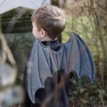 DIY Stoffe Inspiration - FLedermausflügel