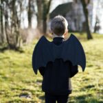 DIY Stoffe Inspiration - FLedermausflügel