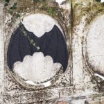 DIY Stoffe Inspiration - FLedermausflügel