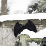 DIY Stoffe Inspiration - FLedermausflügel