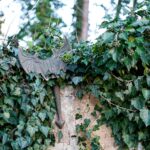 DIY Stoffe Inspiration - Drachenflügel & Drachenschwanz