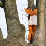 DIY Stoffe Outfit - Paule - Luany - Drachenflügel