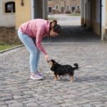 DIY Stoffe Outfit - Hoodie Emilana