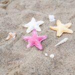 DIY Stoffe Inspiration - Zauberstab - Muschel & Seestern