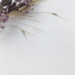 B-Ware-Bündchen-Warmweiß - schwarze Streifen