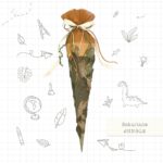 Schultüten Paket - Jungle