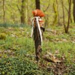 DIY Stoffe Outfit Inspiration - Schulanfang -Schultüte Jungle