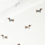 Single Jersey – Dackel mit Shirt – Cremeweiß