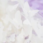 DIY Stoffe Mix - Tüll Schmetterlinge