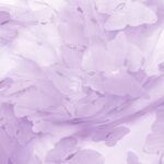 Tüllstoff - Schmetterlinge - Lavendel