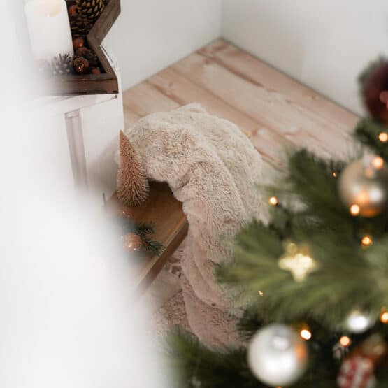 DIY Stoffe Inspiration - X-Mas - Zimt/Tanne- Fell weiche Qualität