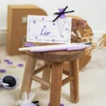 DIY Stoffe Inspiration - Schultüte - Leo - Lavendel - Bastelvorlage