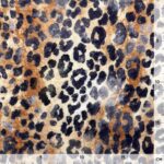 Musselin – Vintage Leo – Zimt/Cream