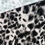 Romanit Jersey – Punta di Roma – Watercolor Leo – Black Grey Beige