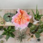 DIY Stoffe Inspiration -Schultüten Paket – Feenblüte