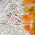 DIY Stoffe Inspiration - Sticktwist - Karabiner - Holz - Buchstaben - Perle