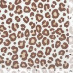 Frottee-Jersey – Leo Dots zweifarbig – Warmweiß