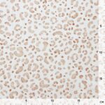 Rippenjersey – Zarte Leodots – Warmweiß