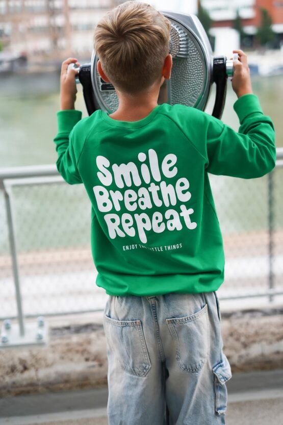 DIY Stoffe Outfit - Sweater Paule 2.0 - Plott