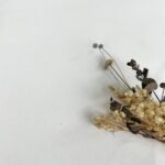 French Terry Sommersweat Cremeweiss