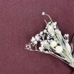 French Terry Vintage Dark Berry C Ware 2