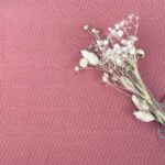 Single Jersey Faded Rose C Ware