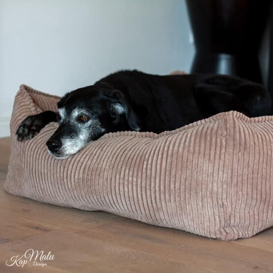 Diy Stoffe Inspiration 578i Hundekoerbchen Tierbett Tierkoerbchen Animal Velvet Breitcord Light Toffee