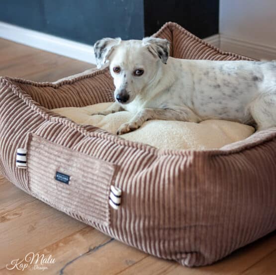 Diy Stoffe Inspiration 578k Hundekoerbchen Tierbett Tierkoerbchen Animal Velvet Breitcord Light Toffee Deko Boucle Cremeweiß