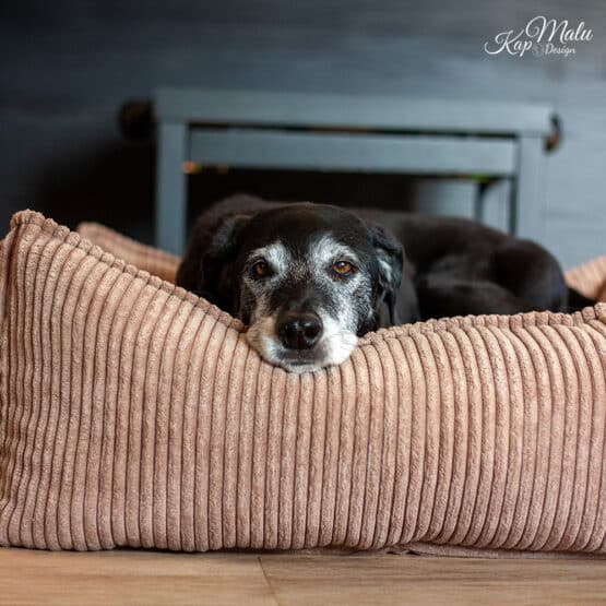Diy Stoffe Inspiration 578n Hundekoerbchen Tierbett Tierkoerbchen Animal Velvet Breitcord Light Toffee