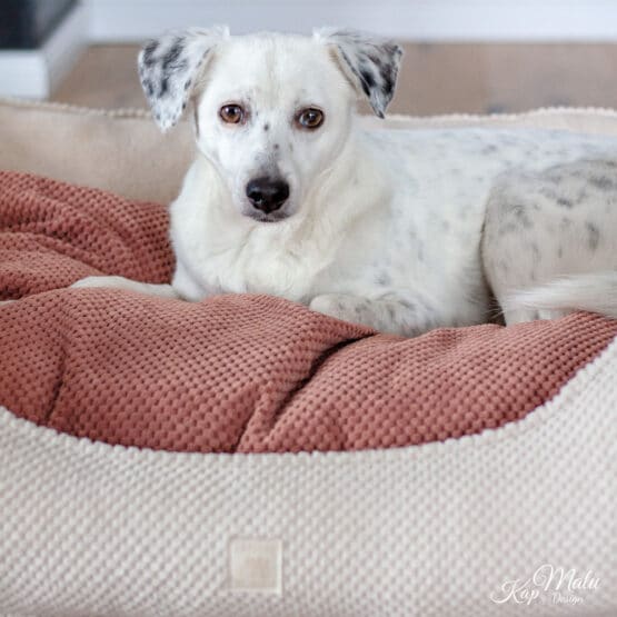Diy Stoffe Inspiration 579e Hundekoerbchen Tierbett Tierkoerbchen Animal Velvet Strukturiert Soft Blush Natur