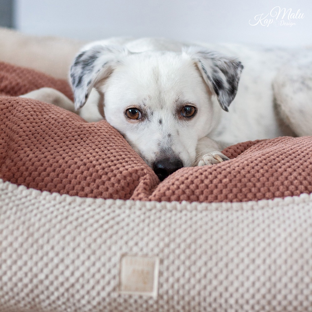 DIY Stoffe Inspiration - Hundekörbchen - Tierbett - Tierkörbchen Animal - Velvet Strukturiert Soft Blush - Velvet Strukturiert Natur