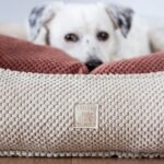 DIY Stoffe Inspiration - Hundekörbchen - Tierbett - Tierkörbchen Animal - Velvet Strukturiert Soft Blush - Velvet Strukturiert Natur