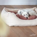 DIY Stoffe Inspiration - Hundekörbchen - Tierbett - Tierkörbchen Animal - Velvet Strukturiert Soft Blush - Velvet Strukturiert Natur