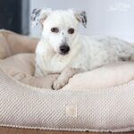 DIY Stoffe Inspiration - Hundekörbchen - Tierbett - Tierkörbchen Animal - Velvet Strukturiert Natur