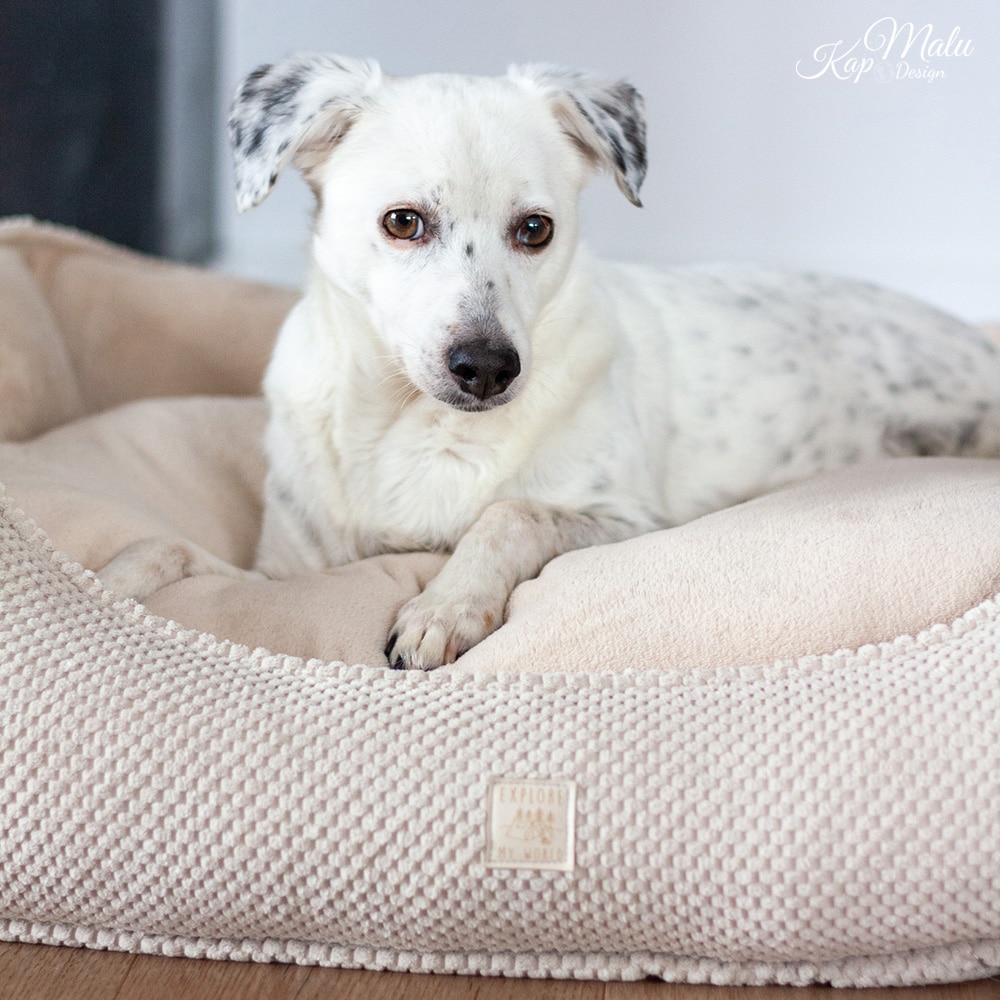 DIY Stoffe Inspiration - Hundekörbchen - Tierbett - Tierkörbchen Animal - Velvet Strukturiert Natur