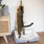 Diy Stoffe Inspiration 580e Hundekoerbchen Tierbett Tierkoerbchen Animal Katzenkoerbchen Kuschelfleece Pluesch Outdoor