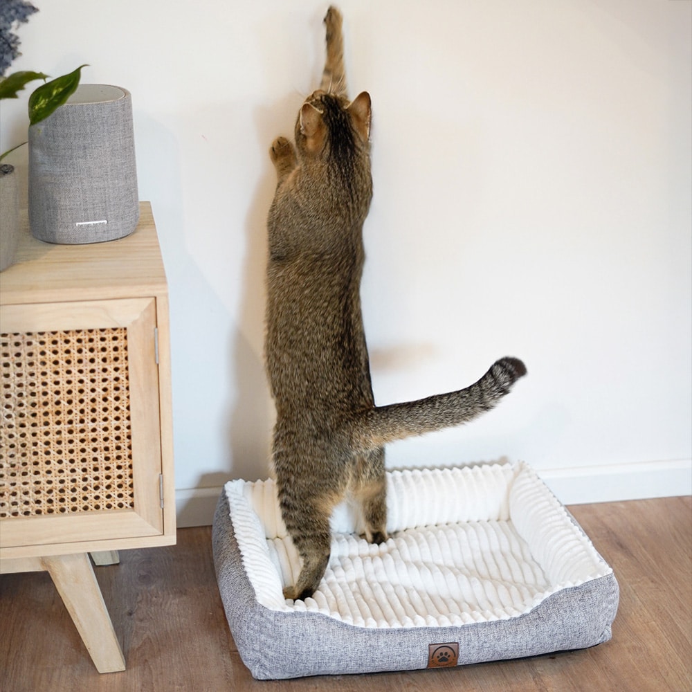 Diy Stoffe Inspiration 580e Hundekoerbchen Tierbett Tierkoerbchen Animal Katzenkoerbchen Kuschelfleece Pluesch Outdoor