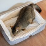 Diy Stoffe Inspiration 580k Hundekoerbchen Tierbett Tierkoerbchen Animal Katzenkoerbchen Kuschelfleece Pluesch Outdoor