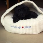 Soft Velvet Breitcord Cremeweiss Mu 1