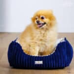 DIY Stoffe Inspiration - Hundekörbchen - Tierbett - Tierkörbchen Animal - Katzenkörbchen - Soft Velvet Nachtblau - Shiny Velvet Cremeweiß