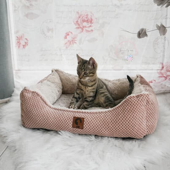 Diy Stoffe Inspiration 584r Hundekoerbchen Tierbett Tierkoerbchen Animal Kosmetiktasche Katzenkoerbchen Velvet Strukturiert Lachs Kunstfell Cream Label