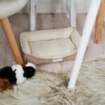 DIY Stoffe Inspiration - Hundekörbchen - Tierbett - Tierkörbchen Animal - Katzenkörbchen - Cord Elastisch Smoky Camel Beige - Deko Boucle Cremeweiß